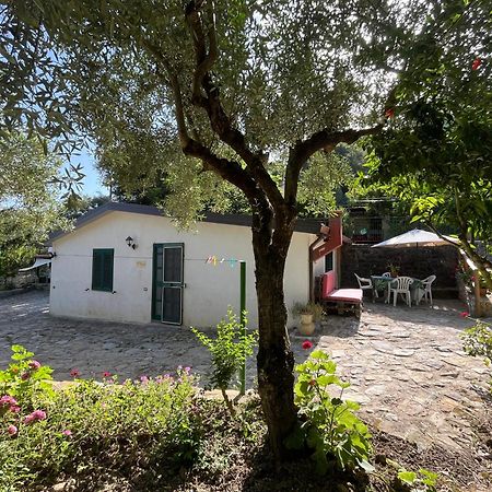 Casa vacanze Alfano Ascea Esterno foto