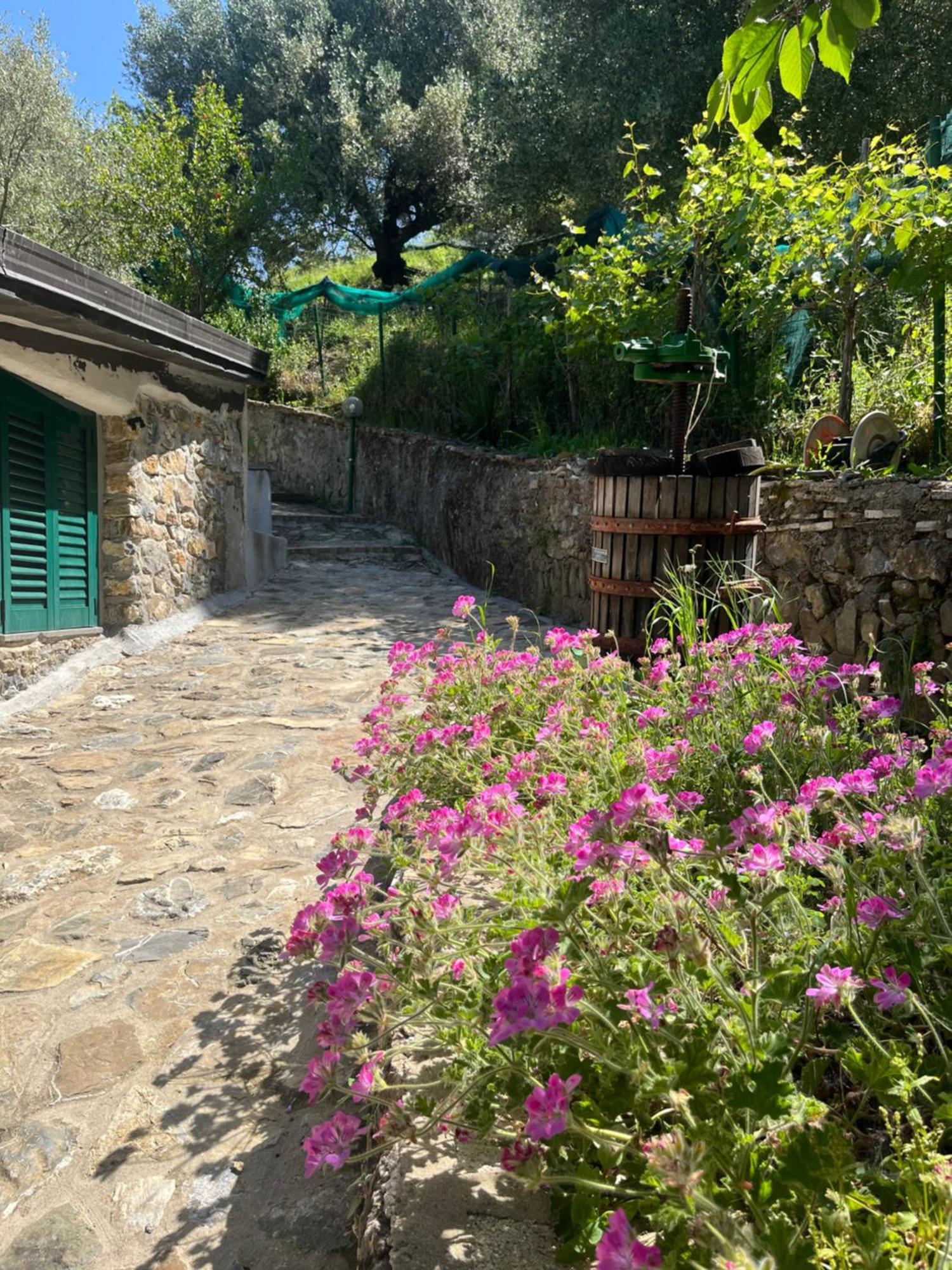 Casa vacanze Alfano Ascea Esterno foto