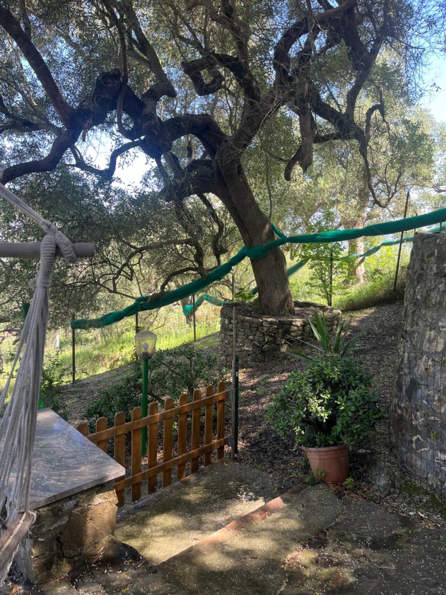 Casa vacanze Alfano Ascea Esterno foto