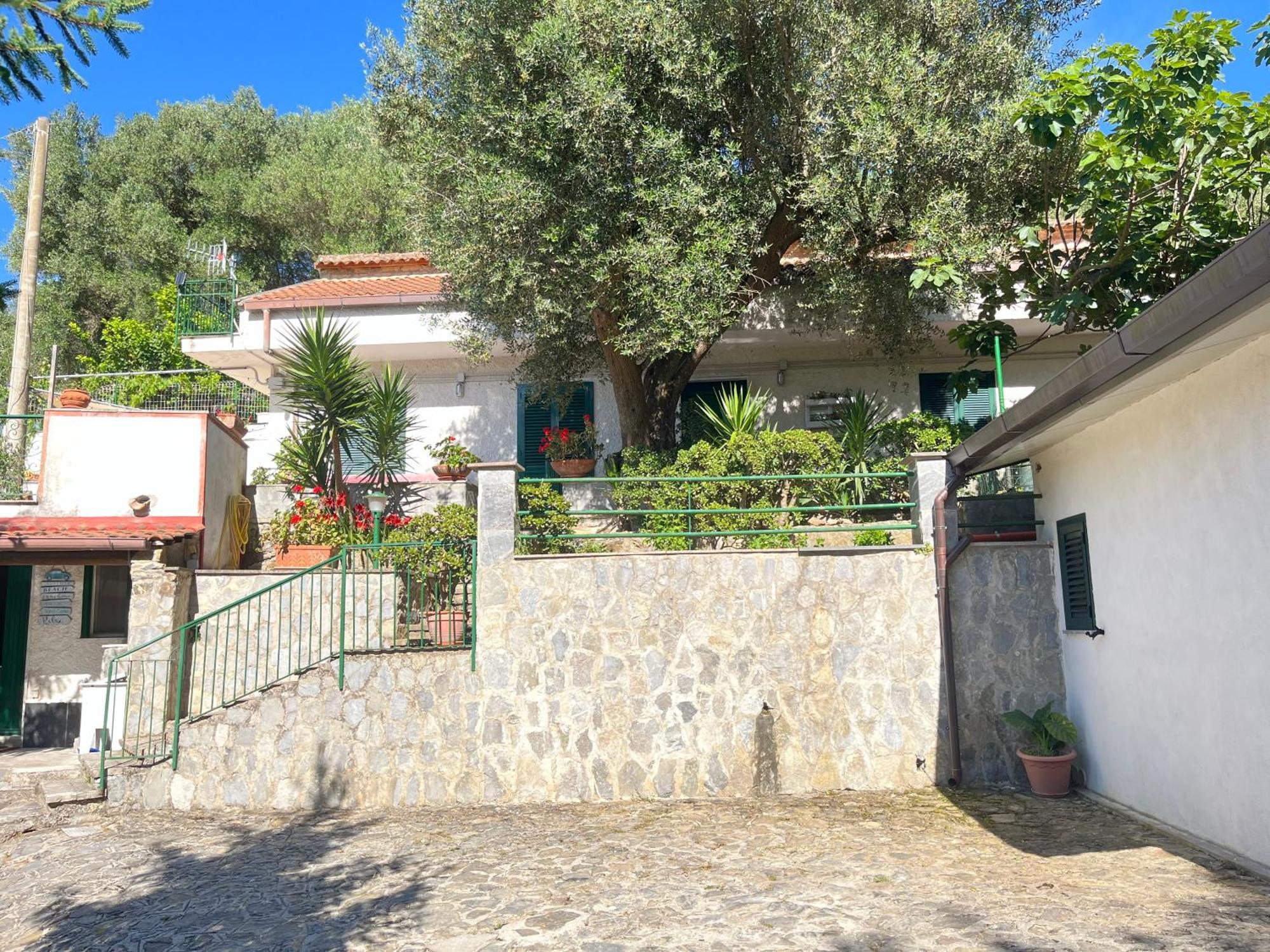 Casa vacanze Alfano Ascea Esterno foto