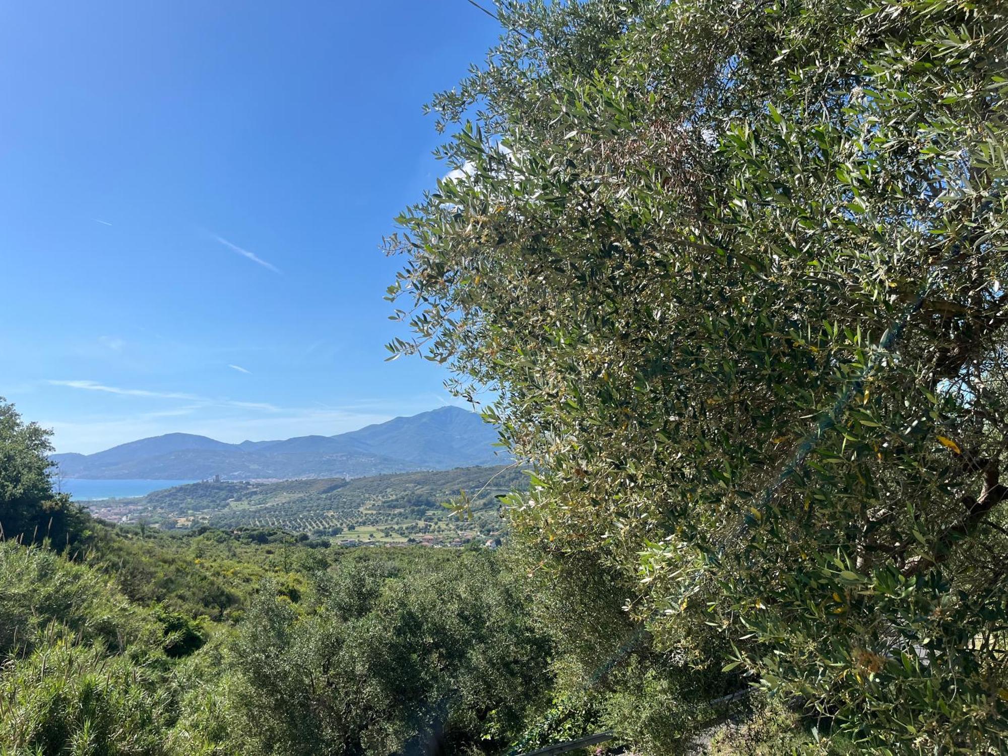Casa vacanze Alfano Ascea Esterno foto